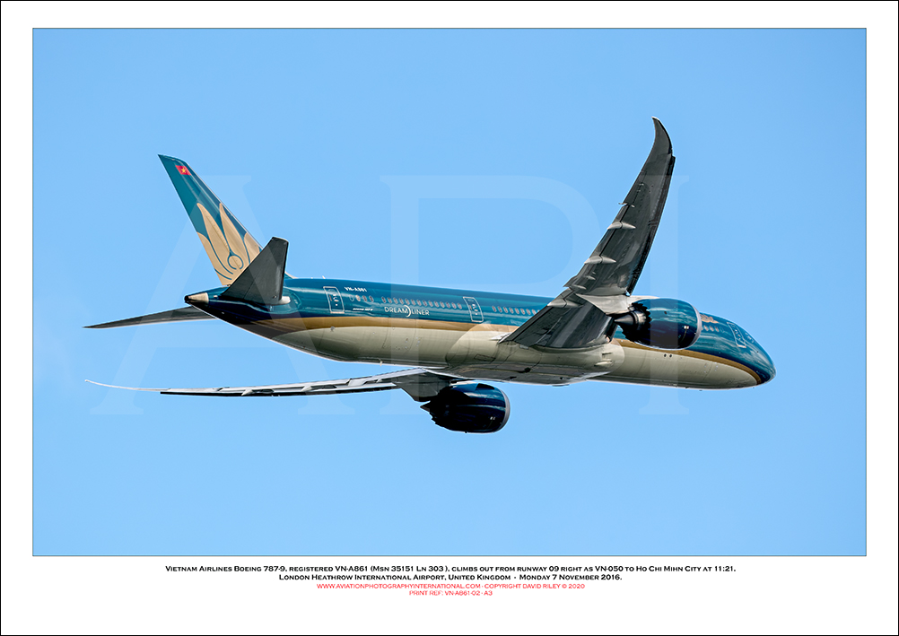 VN-A861 - Vietnam Airlines Boeing 787-9  (Msn 35151 Ln 303) - 02