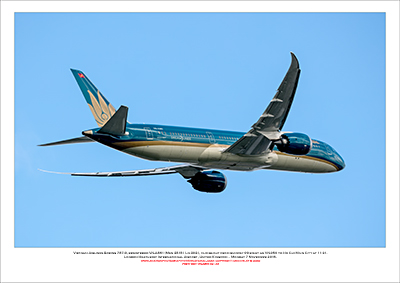 VN-A861 - Vietnam Airlines Boeing 787-9  (Msn 35151 Ln 303) - 02