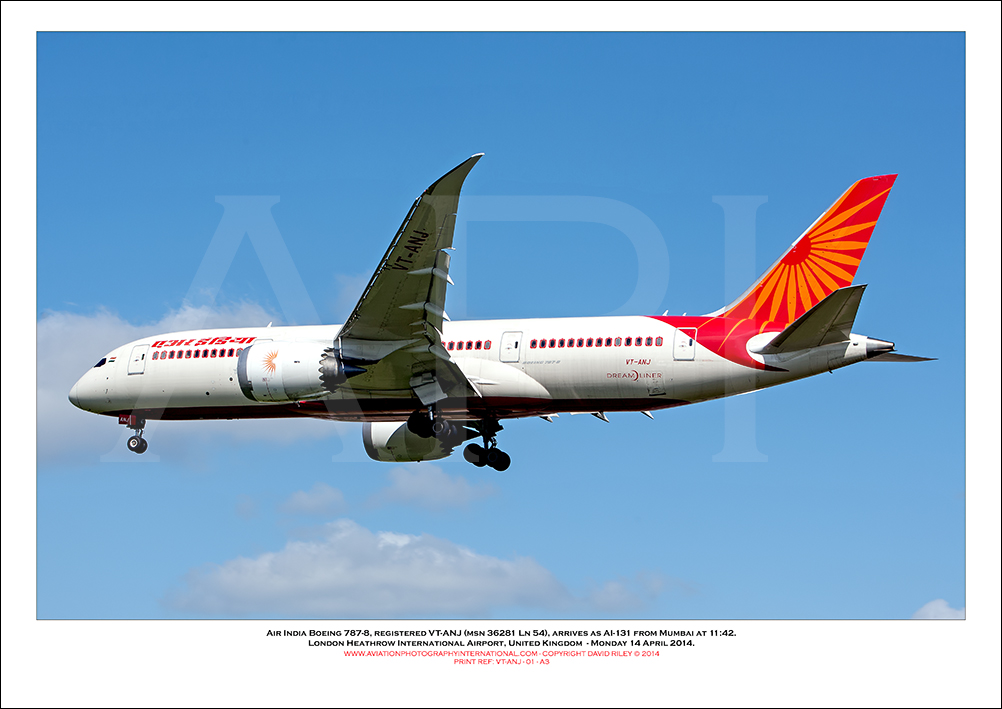 VT-ANJ - Air India Boeing 787-8  (Msn 36281 Ln 54) - 01