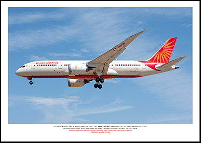 VT-ANK - Air India Boeing 787-8  (Msn 36282 Ln 60) - 02