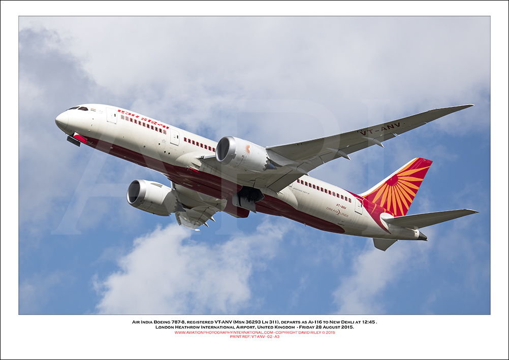 VT-ANV - Air India Boeing 787-8  (Msn 36293 Ln 311) - 02