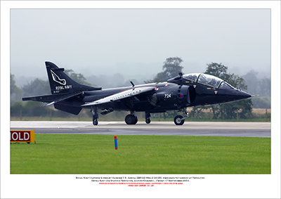 ZB603 - Royal Navy Hawker Siddeley Harrier T.8 (Msn 212035) - 01