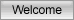 Welcome Page Welcome Page